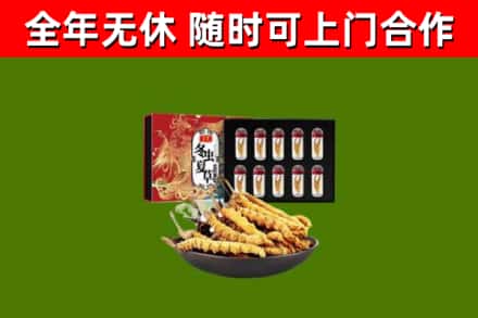 铜川回收冬虫夏草价格