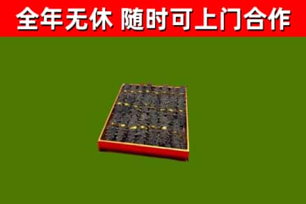 铜川回收海参